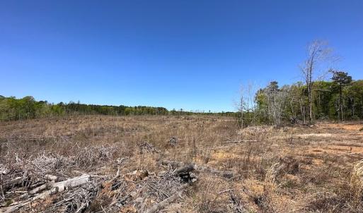 Photo #30 of Off Renrut Rd, Lunenburg, VA 104.0 acres