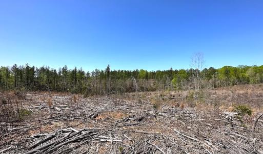 Photo #31 of Off Renrut Rd, Lunenburg, VA 104.0 acres