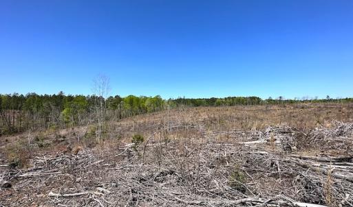 Photo #32 of Off Renrut Rd, Lunenburg, VA 104.0 acres