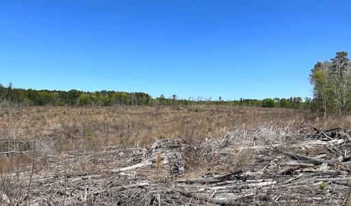 Photo #33 of Off Renrut Rd, Lunenburg, VA 104.0 acres