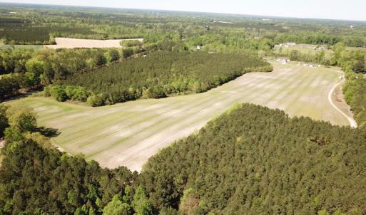 Photo #4 of SOLD property in Off Brickyard Rd , Emporia, VA 53.0 acres