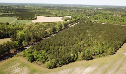 Photo #5 of SOLD property in Off Brickyard Rd , Emporia, VA 53.0 acres