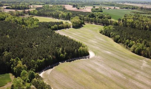 Photo #6 of SOLD property in Off Brickyard Rd , Emporia, VA 53.0 acres