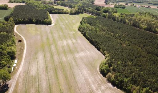 Photo #8 of SOLD property in Off Brickyard Rd , Emporia, VA 53.0 acres