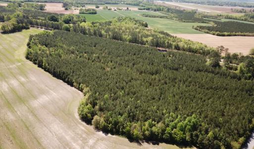 Photo #9 of SOLD property in Off Brickyard Rd , Emporia, VA 53.0 acres