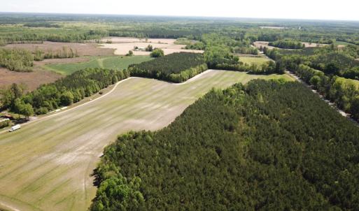 Photo #10 of SOLD property in Off Brickyard Rd , Emporia, VA 53.0 acres