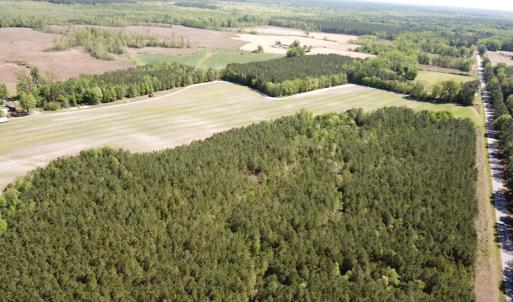 Photo #11 of SOLD property in Off Brickyard Rd , Emporia, VA 53.0 acres