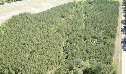Photo #12 of SOLD property in Off Brickyard Rd , Emporia, VA 53.0 acres