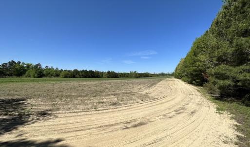 Photo #13 of SOLD property in Off Brickyard Rd , Emporia, VA 53.0 acres
