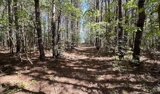 Photo #17 of SOLD property in Off Brickyard Rd , Emporia, VA 53.0 acres