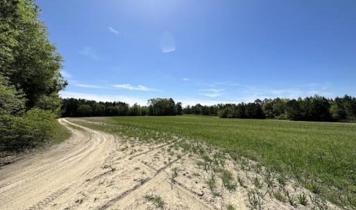 Photo #31 of SOLD property in Off Brickyard Rd , Emporia, VA 53.0 acres