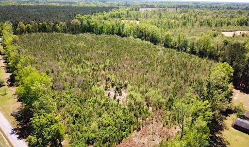 Photo #2 of SOLD property in Off Arbedour Rd , Jarratt, VA 19.0 acres