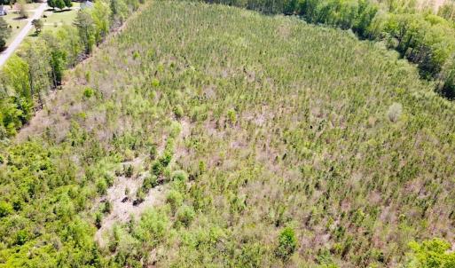 Photo #3 of SOLD property in Off Arbedour Rd , Jarratt, VA 19.0 acres