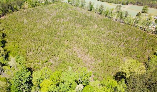 Photo #7 of SOLD property in Off Arbedour Rd , Jarratt, VA 19.0 acres