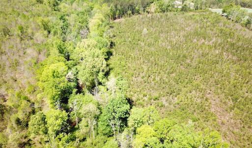 Photo #8 of SOLD property in Off Arbedour Rd , Jarratt, VA 19.0 acres