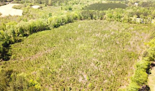 Photo #9 of SOLD property in Off Arbedour Rd , Jarratt, VA 19.0 acres