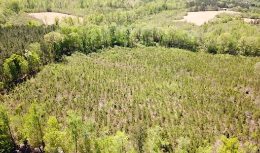 Photo #10 of SOLD property in Off Arbedour Rd , Jarratt, VA 19.0 acres