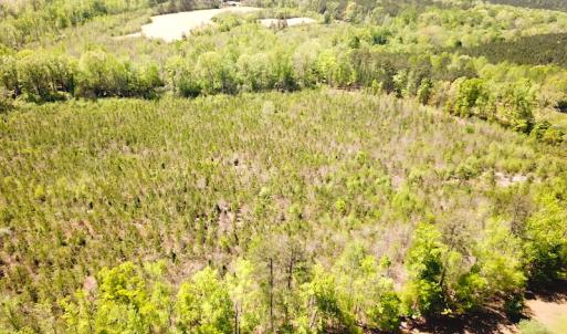 Photo #11 of SOLD property in Off Arbedour Rd , Jarratt, VA 19.0 acres