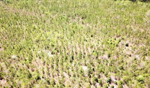 Photo #12 of SOLD property in Off Arbedour Rd , Jarratt, VA 19.0 acres