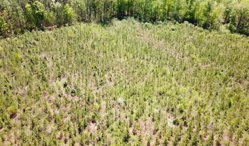 Photo #13 of SOLD property in Off Arbedour Rd , Jarratt, VA 19.0 acres