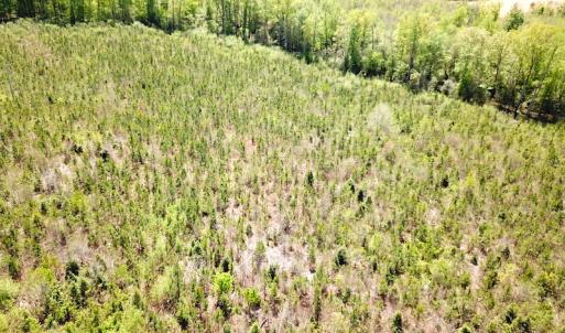 Photo #15 of SOLD property in Off Arbedour Rd , Jarratt, VA 19.0 acres
