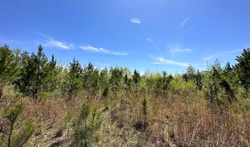 Photo #16 of SOLD property in Off Arbedour Rd , Jarratt, VA 19.0 acres