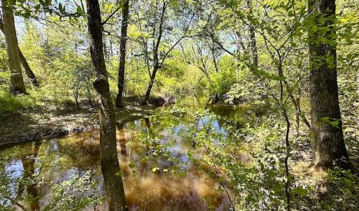 Photo #18 of SOLD property in Off Arbedour Rd , Jarratt, VA 19.0 acres