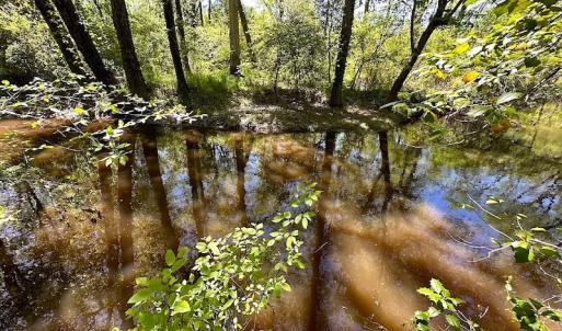 Photo #19 of SOLD property in Off Arbedour Rd , Jarratt, VA 19.0 acres