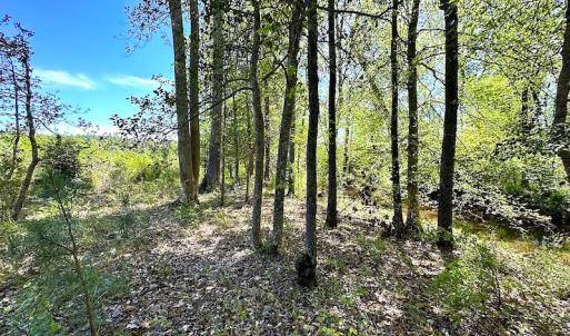Photo #20 of SOLD property in Off Arbedour Rd , Jarratt, VA 19.0 acres