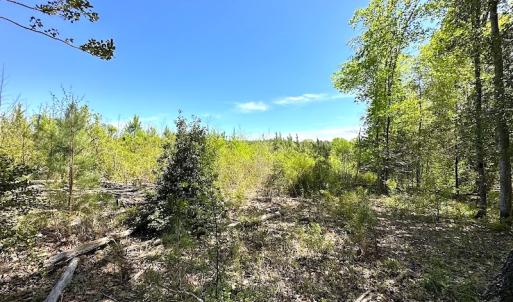 Photo #23 of SOLD property in Off Arbedour Rd , Jarratt, VA 19.0 acres