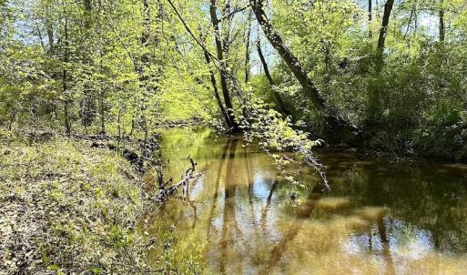 Photo #24 of SOLD property in Off Arbedour Rd , Jarratt, VA 19.0 acres