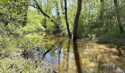 Photo #25 of SOLD property in Off Arbedour Rd , Jarratt, VA 19.0 acres