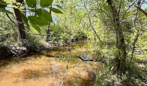 Photo #27 of SOLD property in Off Arbedour Rd , Jarratt, VA 19.0 acres