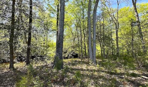 Photo #29 of SOLD property in Off Arbedour Rd , Jarratt, VA 19.0 acres