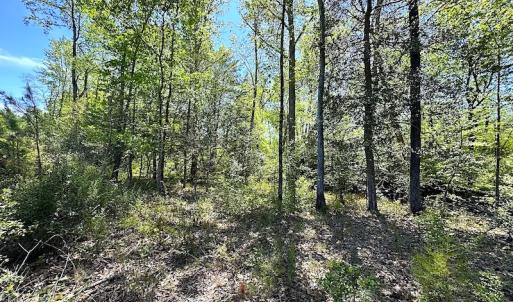 Photo #30 of SOLD property in Off Arbedour Rd , Jarratt, VA 19.0 acres