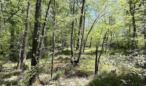 Photo #32 of SOLD property in Off Arbedour Rd , Jarratt, VA 19.0 acres