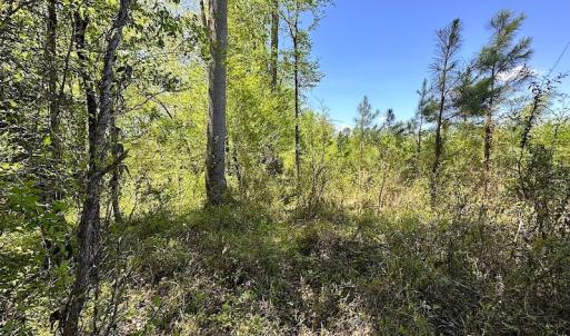 Photo #33 of SOLD property in Off Arbedour Rd , Jarratt, VA 19.0 acres