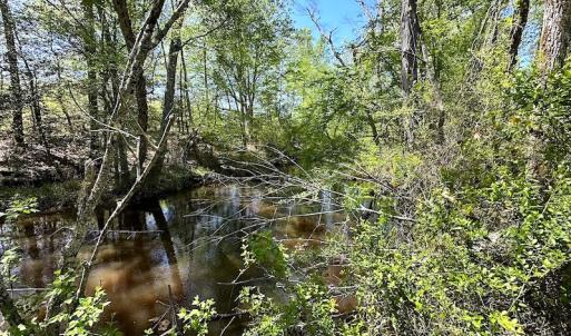Photo #34 of SOLD property in Off Arbedour Rd , Jarratt, VA 19.0 acres