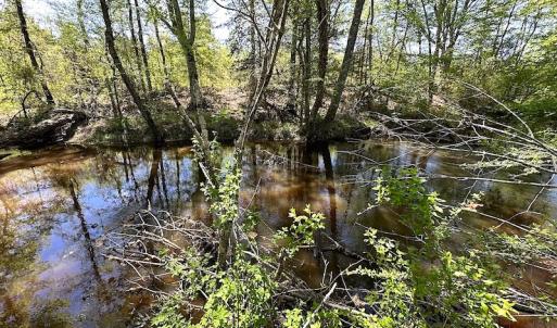 Photo #35 of SOLD property in Off Arbedour Rd , Jarratt, VA 19.0 acres