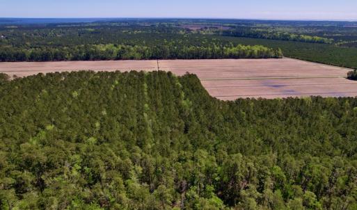 Photo #11 of SOLD property in Off Arant Farm Rd, Merritt, NC 79.5 acres