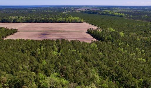 Photo #12 of SOLD property in Off Arant Farm Rd, Merritt, NC 79.5 acres