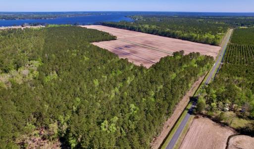 Photo #13 of SOLD property in Off Arant Farm Rd, Merritt, NC 79.5 acres