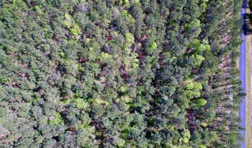 Photo #14 of SOLD property in Off Arant Farm Rd, Merritt, NC 79.5 acres