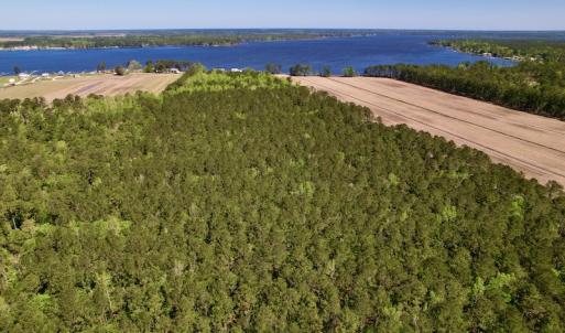 Photo #15 of SOLD property in Off Arant Farm Rd, Merritt, NC 79.5 acres