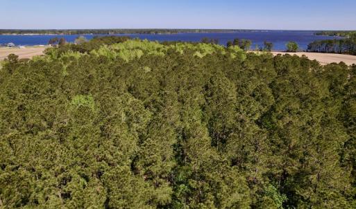 Photo #17 of SOLD property in Off Arant Farm Rd, Merritt, NC 79.5 acres