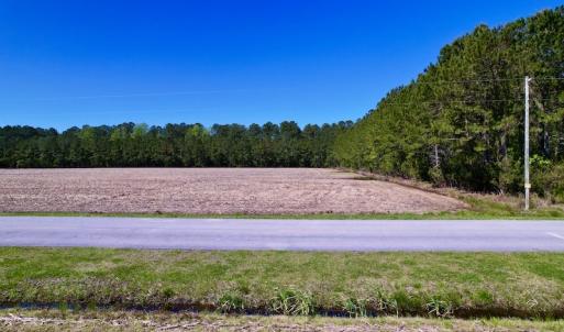 Photo #22 of SOLD property in Off Arant Farm Rd, Merritt, NC 79.5 acres