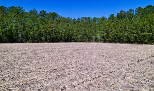 Photo #24 of SOLD property in Off Arant Farm Rd, Merritt, NC 79.5 acres