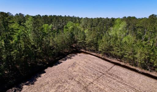 Photo #25 of SOLD property in Off Arant Farm Rd, Merritt, NC 79.5 acres