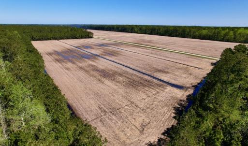 Photo #26 of SOLD property in Off Arant Farm Rd, Merritt, NC 79.5 acres