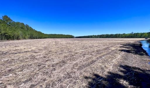 Photo #27 of SOLD property in Off Arant Farm Rd, Merritt, NC 79.5 acres
